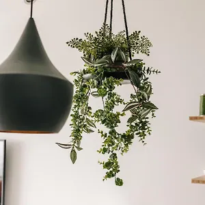 https://studio-lola-love.zandvoort-hotels.com